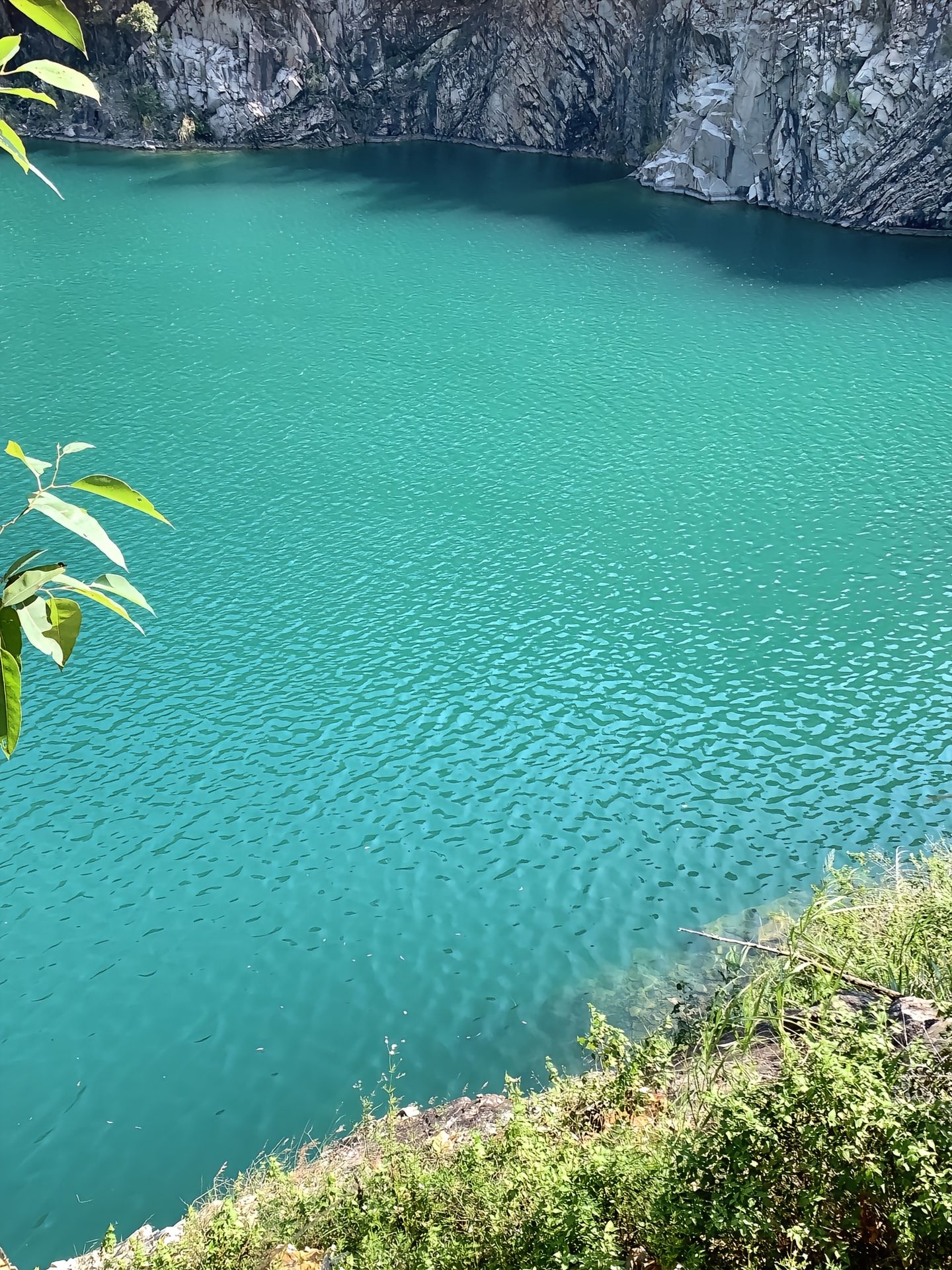 风景