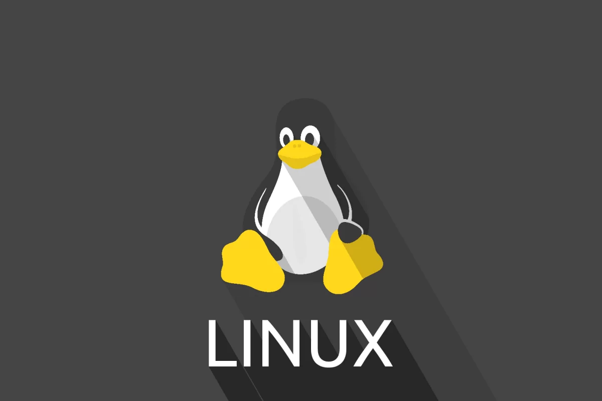 Linux基础命令